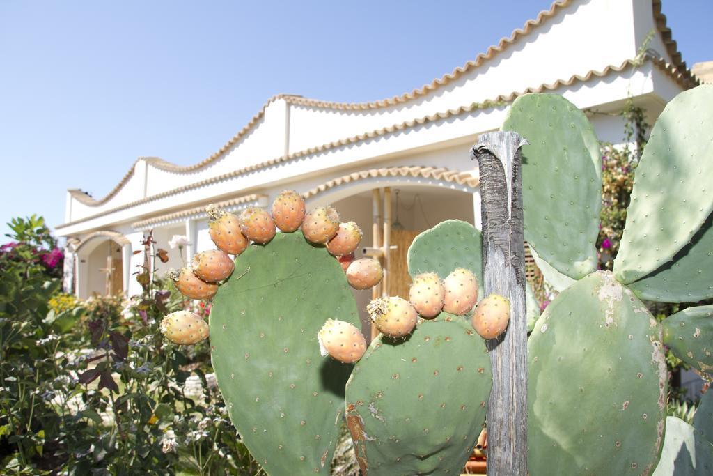 Oasi Beach Hotel Vieste Exterior foto