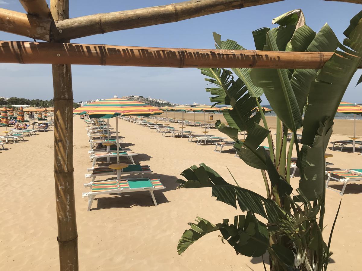 Oasi Beach Hotel Vieste Exterior foto